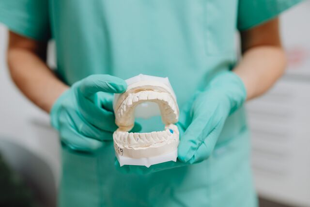 a dental professional in a green uniform displays a tooth model promoting oral hygiene and education